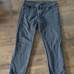 Banana Republic Gray Traveler Pants
